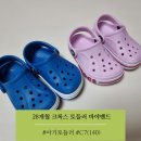 C7 | [내돈내산] 여름 아이템 28개월 아기크록스 토들러 바야밴드 클로그 C7 구매후기