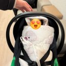 [아기와 나] 가성비 육아용품 대여 후기 ❤️ 바구니카시트
