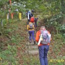 정봉농장 이미지