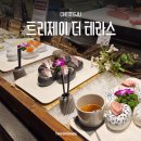 안녕제이마카롱 | 청주 트리제이 더 테라스 디너 뷔페 추천