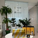 유진스의원 이미지