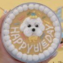 냥냥쩝쩝 이미지