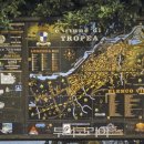 트로페아 이미지