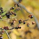 개산초등학교 이미지