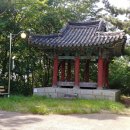 완산-169 Daum카페