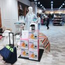 몰리스펫샵 센텀 이미지