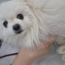 두카메디컬센터 이미지