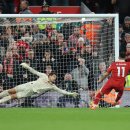 깔코리아 이미지