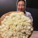 또 봄은 오고