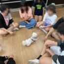 군산경포초등학교 이미지