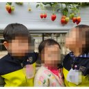 영창농장 이미지