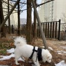 THE힘찬동물병원 이미지