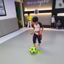 용인대 청당 태권도 이미지