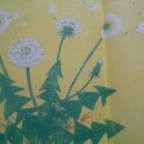 흰민들레소식 이미지