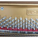 은계우미린더퍼스트 이미지