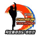차오름 태권도 교육관 이미지