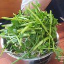 등촌샤브칼국수 수유점 | [수유 맛집] 비 오는 날(사실은 맑은 날에도) 생각나는 등촌 샤브칼국수 수유점 🍲🔥