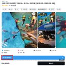 제일신발 - 무안군 성내1길 29 | 세부 캐녀닝 신발 복장 후기 오슬롭 가성비 투어 추천
