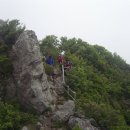 양푼이비빔밥 이미지