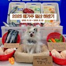 (주)개성푸드 | 메가주 일산 킨텍스 하반기 역대급 규모 케이펫페어 첫날 방문후기