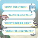 농사이야기 농담 | 좀 수상한 바다생물 이야기 🐟