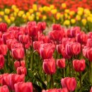 화명생태공원(화명운동장 내) 이미지