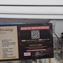 뮤지컬 원스 후기(20250305, 20250401, 신세계 블루밍 콘서트, 코엑스 버스킹 이벤트 당첨 후기)