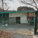 달빛머무는펜션 이미지