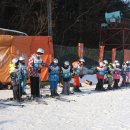 2015 익사이팅 스키캠프 이미지