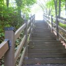 한천 참샘 이미지