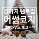 코지하우스 켄넬 이미지