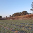 완수농장 이미지