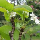 마음연구소민박 이미지