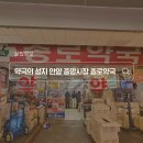 약국의 성지 안양 종로약국 직접 다녀온 후기 (+주차장 정보)