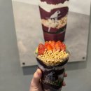 현대목동발리