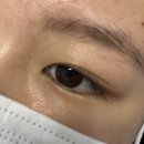 우신 | 25.12.20 | 자연스럽게 예뻐지는 목동 속눈썹펌 맛집 브로우신 솔직 후기