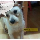 제우스존 이미지