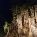 산마루어린이공원 | 포천 아트밸리 주차 셔틀버스 입장료 천주호 연휴 방문 시 주의사항 과 방문 후기
