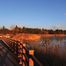 향호목장 이미지