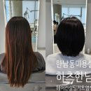 한남동미용실 하츠한남 김도경 원장님 헤어컨설팅 커트 염색