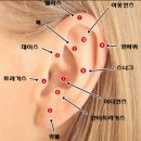 데끌라