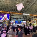 초콜렛 PC ZONE 이미지