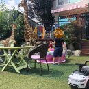도도키즈풀빌라
