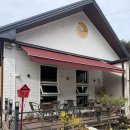 카페 더블유 | 당진애견동반카페 더블유 오트랑 공놀이 제대로 하고 온 후기🎱🧡