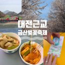 궁 무인텔 | 2026 금산 벚꽃축제 후기 (주차·코스·먹거리 총정리 꿀팁 총정리!)