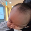 레스트하우스 | 대구 동성로 타이레스트하우스, 아기 의자 있는 식당 현지 감성 태국요리 맛집