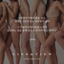 뷰-라인 이미지