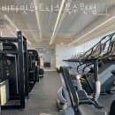 비타민휘트니스북