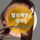 씨놀에이치앤에스