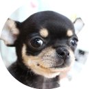 와와멍# 이미지